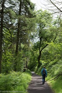 Waterfall Walks Trail im Glenariff Forest Park