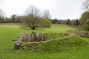 Steinkreis im Castlewellan Forest Park