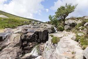 Gebirgsbach in den Wicklow Mountains