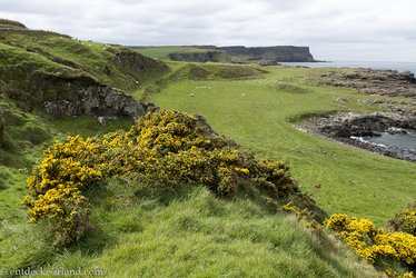 Aussicht zur Steilküste bei Dunseverick