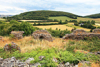 Aussicht vom Rock of Dunamase nach Süden zum Dysart Woods