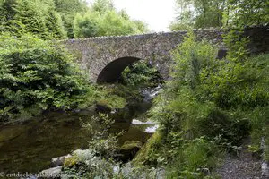 Parnell's Bridge im Tollymore Forest Park