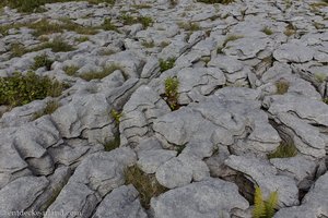 Steinplatten auf dem Carran Loop