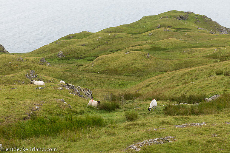 Die Seeklippen von Slieve League sind die zweithöchsten von Irland.
