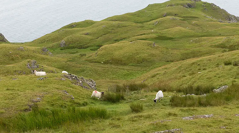 Die Seeklippen von Slieve League sind die zweithöchsten von Irland.