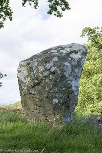 Standing Stone auf dem Shore Trail bei Castle Ward in Nordirland.
