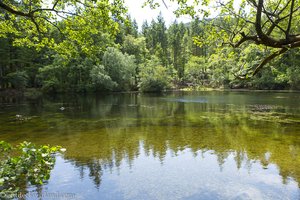 See im Tollymore Forest Park in Nordirland