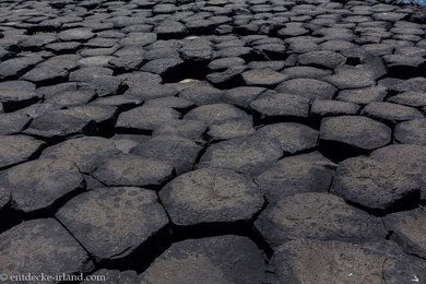 bei den Basaltsäulen vom Giant's Causeway