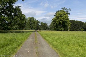 Ein Feldweg in Richtung des Lough Neagh