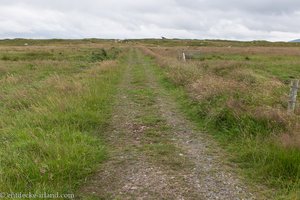 Fußweg zum Dolmen von Kilclooney