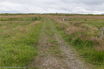 Fußweg zum Dolmen von Kilclooney