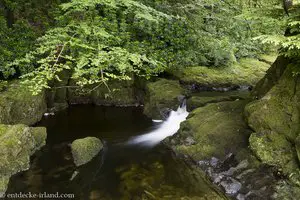 Shimna-Fluss im Tollymore Forest Park in Nordirland