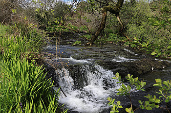 Blick auf die Deelish Cascade des River Ilen