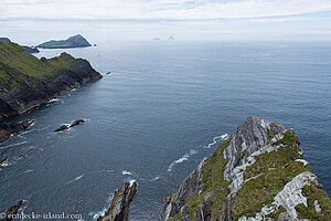 Eine Aussicht auf Puffin Island