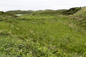 Die Sumpflandschaft im Osten von Rathlin Island.
