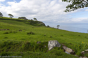 Grüne Landschaft an der Murlough Bay