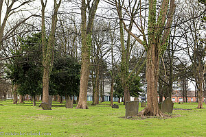 Bully's Acre - Friedhof der Armen, Kranken und Überflüssigen