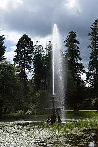 Delfin-Brunnen - Dolphin Pond