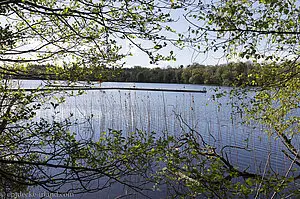 Auf dem Loughshore Walk am Lower Lough Erne