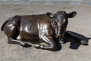 Eine Kuh am Wolfe Tone Square