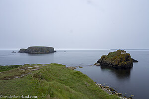 Basaltfelsen im Meer