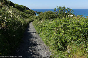 Wanderweg zur White Park Bay