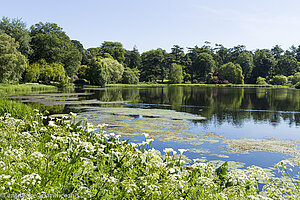 See bei Mount Stewart in Nordirland