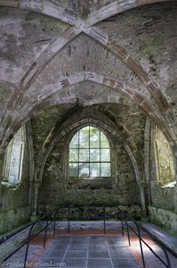 Ein altes Gewölbe bei Mellifont Abbey