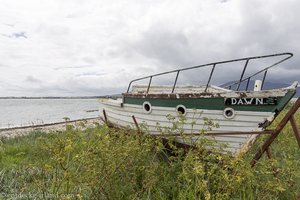 Boot am Strand vom Carlingford Lough auf der nordirischen Seite