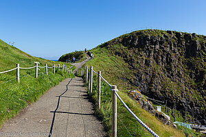 Vogelparadies Carrick Island