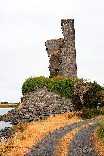 Seitenansicht von Shanmuckinish