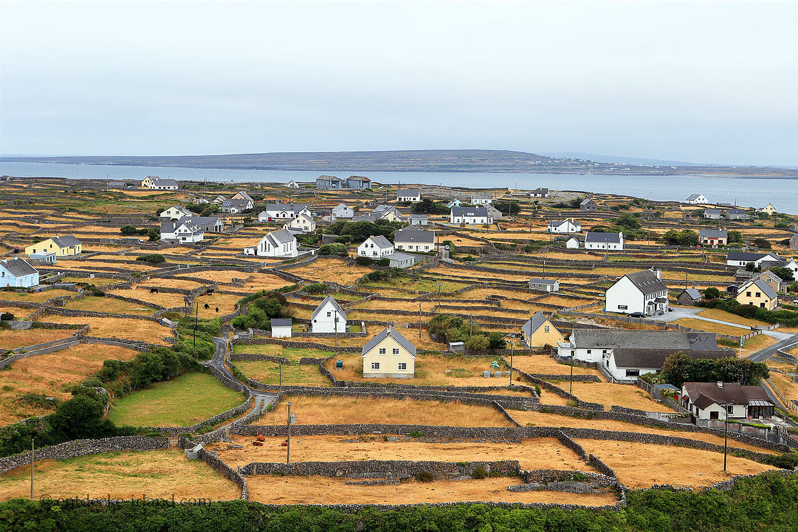 Siedlung mit verstreuten Häusern und gelbe Felder auf der Aran-Insel Inisheer vor der Küste Galways