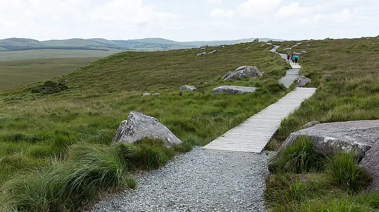 Holzbohlenstege über das Moor