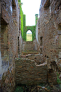 Ruine Clifdon Castle