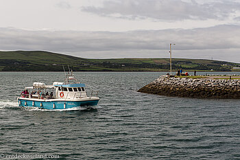 Das Boot kommt von einer Fungie-Tour zurück.
