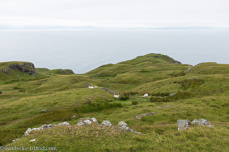 Seeklippen von Slieve League im County Donegal