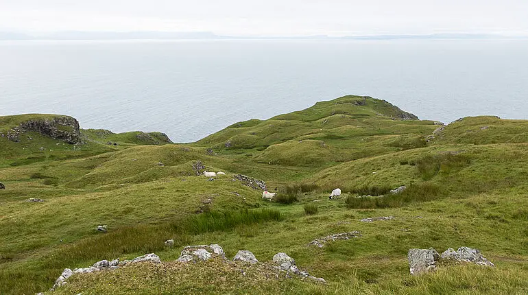 Seeklippen von Slieve League im County Donegal