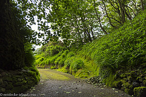 Hinterausgang der Caves of Cushendun in Nordirland