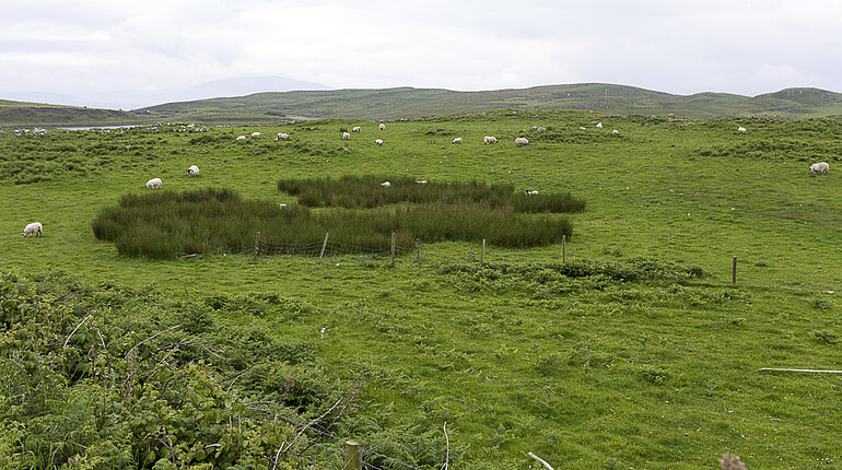 Grüne Wiesen im Osten von Rathlin Island.