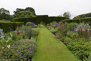 auf dem Weg zum Eibengarten - Glenarm Castle Walled Garden