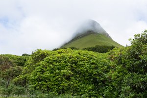 der Berg in den Wolken - auf dem Benbulben Walk