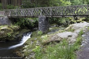 Brücke im Tollymore Forest Park in Nordirland