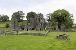 Inch Abbey bei Downpatrick in Nordirland