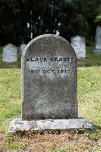 Black Beauty ist hier begraben - Tierfriedhof Powerscourt Garden