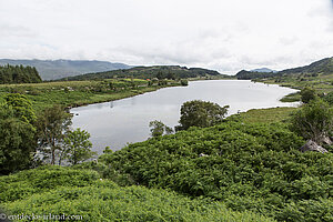 Die Aussicht über den Looscaunagh Lough