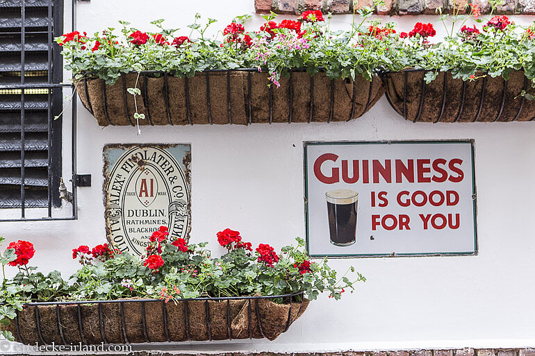 Guinness und Geranien im  Cathedral Quarter