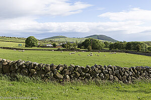 typische grüne Landschaft der Mournes Berge in Nordirland