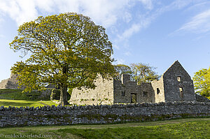 Dundrum Castle - der Wirtschaftsbereich der Burg