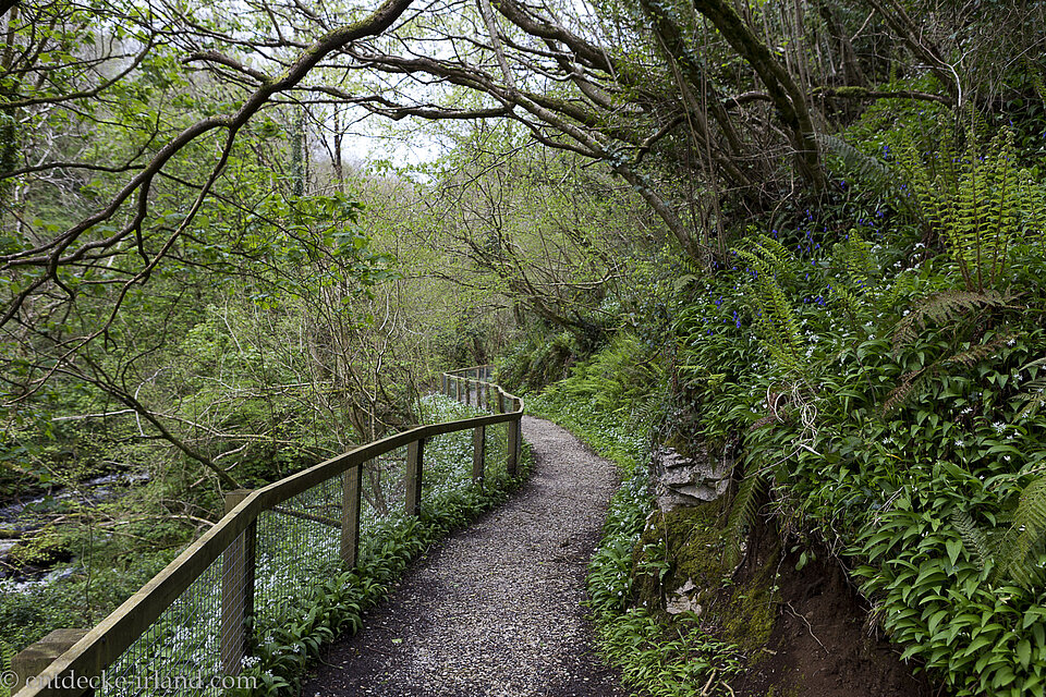 bequemer Fußweg durch die Kalksteinschlucht zu den Cranny Falls