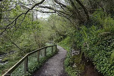 Fußweg durch die Kalksteinschlucht zu den Cranny Falls